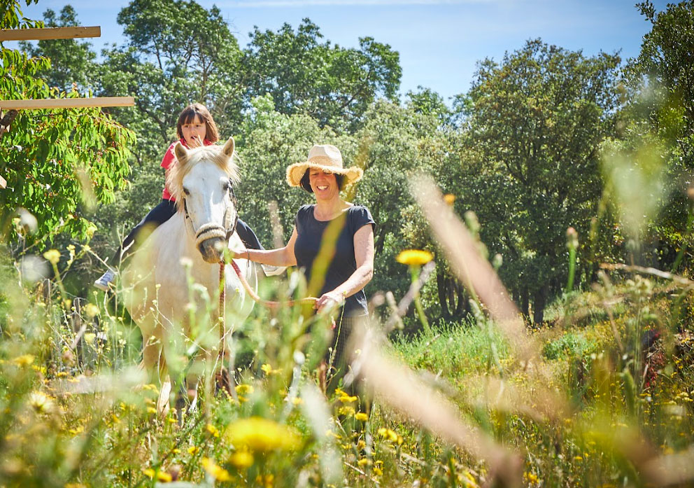 Círculo de participantes en la naturaleza