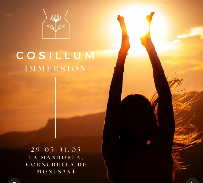 COSILLUM immersion